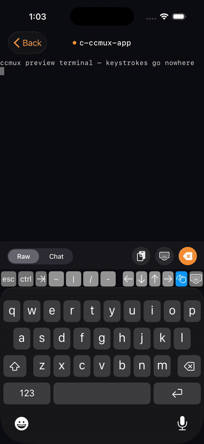 Raw to Chat mode toggle on iOS